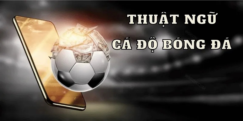 thuat ngu ca do bong da 1